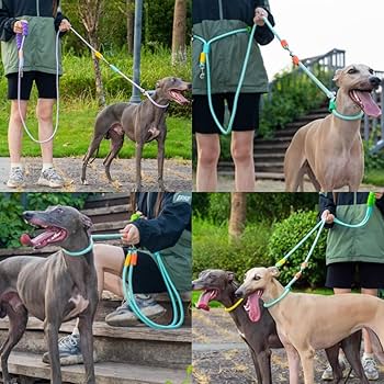 ❁リリランリン❁ ♦ 2頭引きショルダーリード Amazon | 犬2頭引リード 首輪セット ショルダーリード 犬